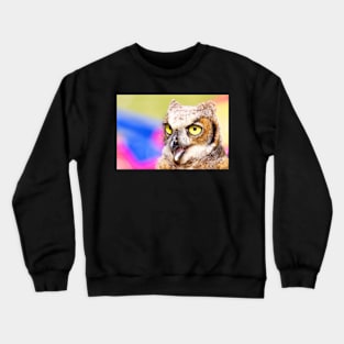 Wisdom Crewneck Sweatshirt